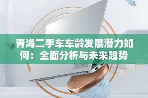 青海二手车车龄发展潜力如何：全面分析与未来趋势