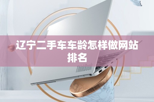 辽宁二手车车龄怎样做网站排名