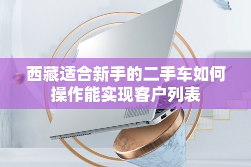西藏适合新手的二手车如何操作能实现客户列表
