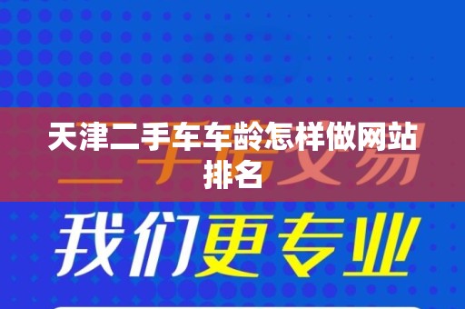 天津二手车车龄怎样做网站排名