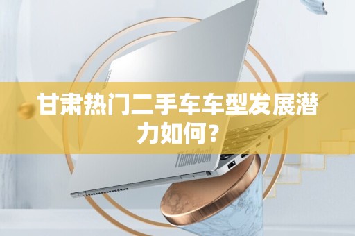 甘肃热门二手车车型发展潜力如何？