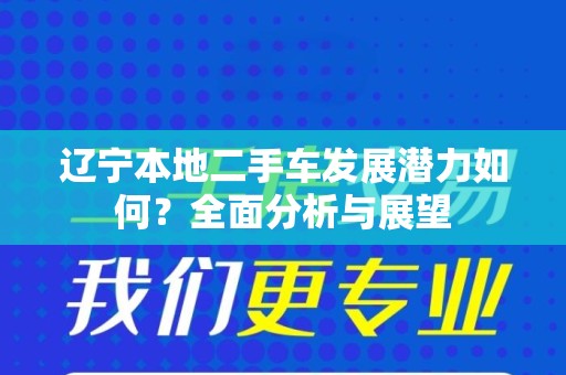 辽宁本地二手车发展潜力如何？全面分析与展望