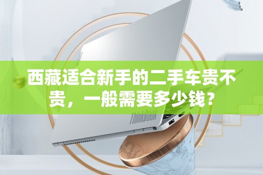 西藏适合新手的二手车贵不贵，一般需要多少钱？