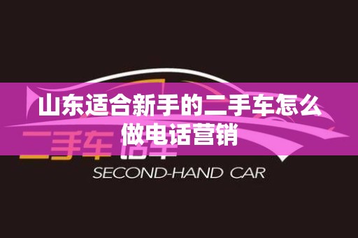 山东适合新手的二手车怎么做电话营销