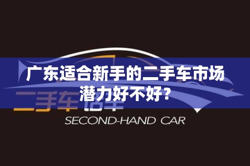 广东适合新手的二手车市场潜力好不好？