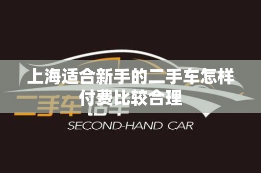 上海适合新手的二手车怎样付费比较合理