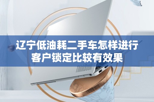 辽宁低油耗二手车怎样进行客户锁定比较有效果