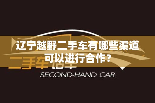 辽宁越野二手车有哪些渠道可以进行合作？