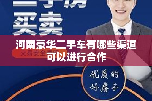 河南豪华二手车有哪些渠道可以进行合作