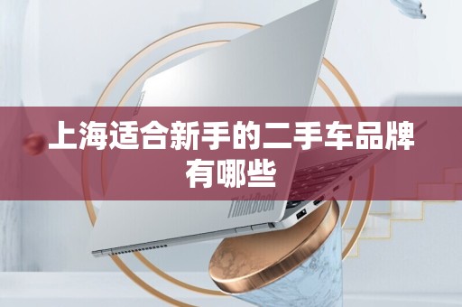 上海适合新手的二手车品牌有哪些