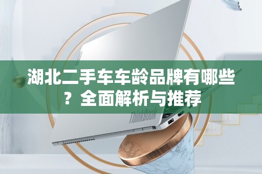 湖北二手车车龄品牌有哪些？全面解析与推荐