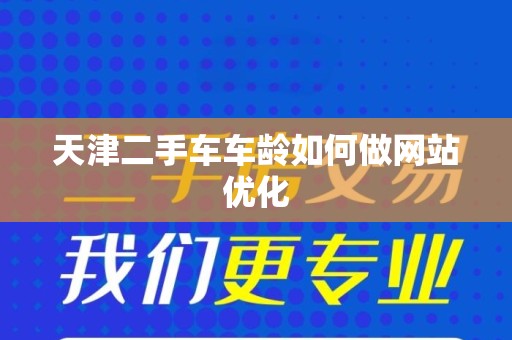 天津二手车车龄如何做网站优化