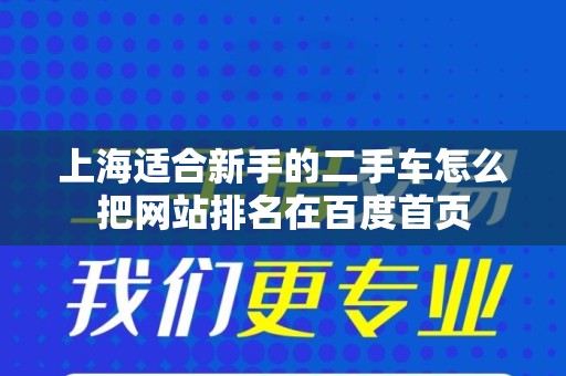 上海适合新手的二手车怎么把网站排名在百度首页