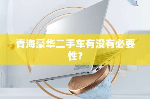 青海豪华二手车有没有必要性？