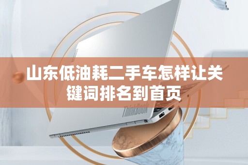 山东低油耗二手车怎样让关键词排名到首页