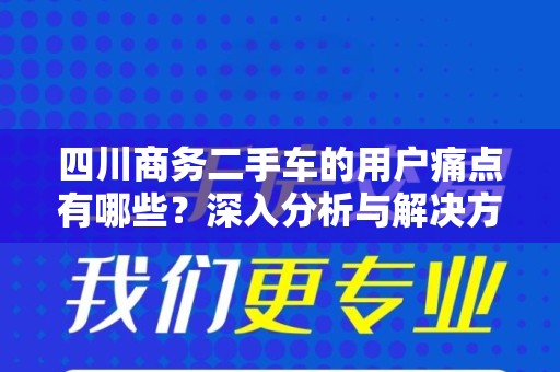 四川商务二手车的用户痛点有哪些？深入分析与解决方案